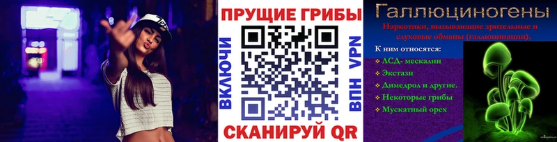 Псилоцибиновые грибы Cubensis Истра
